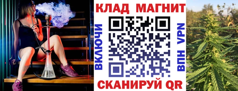 APVP Олёкминск